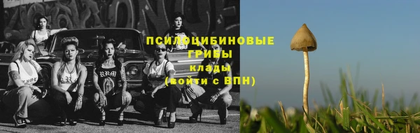 spice Алексин