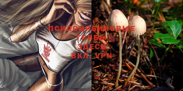 MDMA Алексеевка