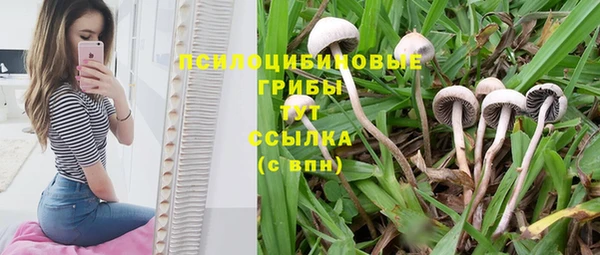 кокаин колумбия Алзамай