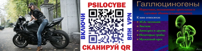OMG ТОР Старая Купавна Псилоцибиновые грибы мухоморы